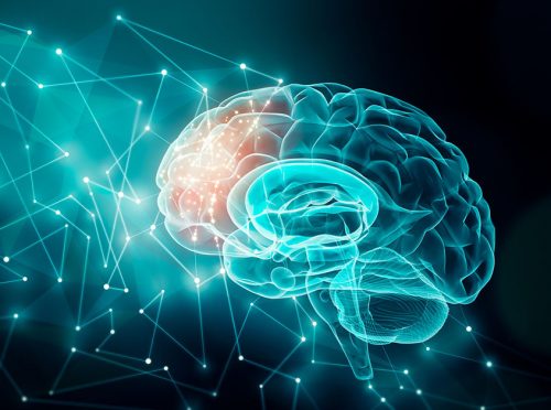 Certificación de BrainTrainer por ASPRONEC