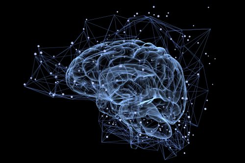 Top Brain Training para Coaches